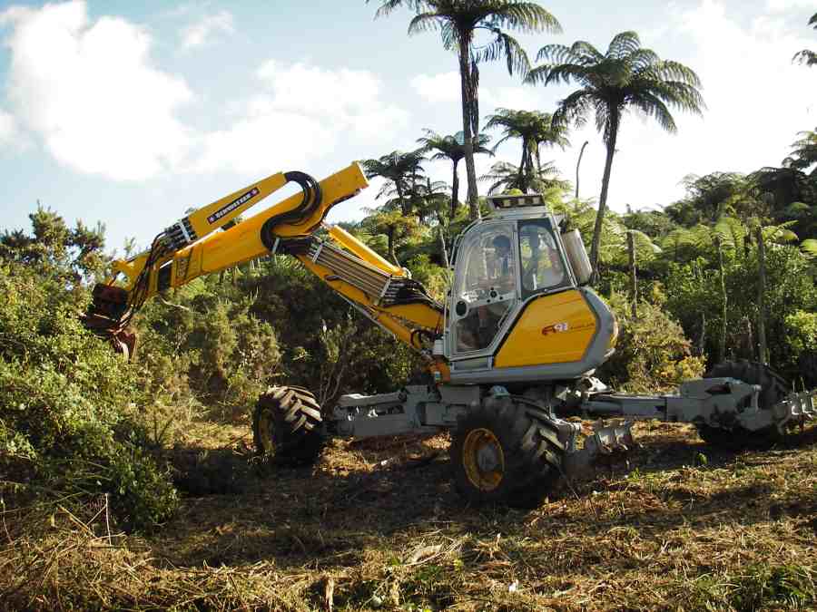 Clearing Land To Make It More Productive